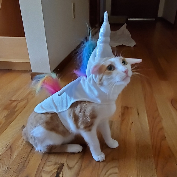 Welcome to my closet! - Picture 7 of 7